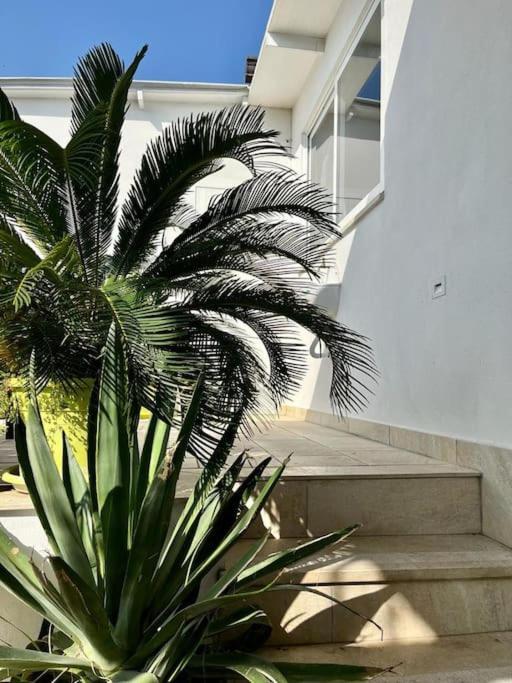 Naples In The History 4M B&B 외부 사진